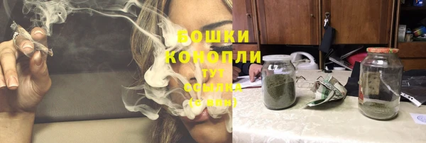 бутират Горнозаводск