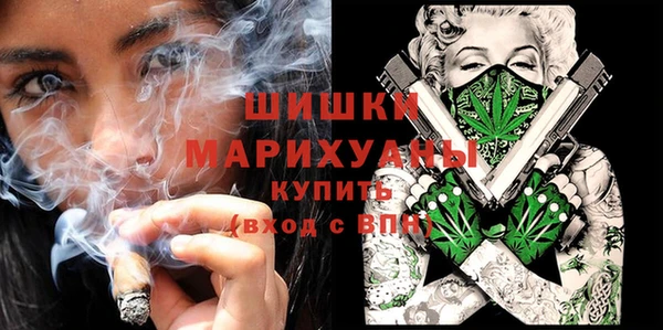 хмурый Горно-Алтайск