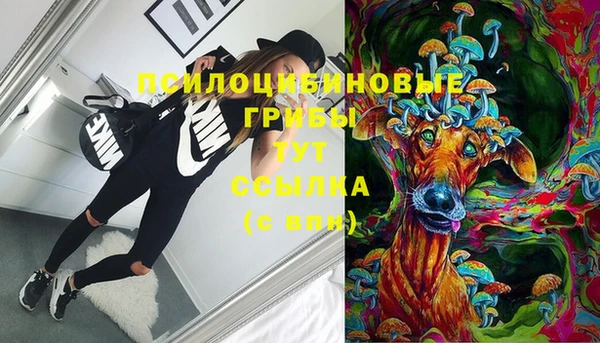 прущая мука Горняк